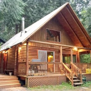 17mbr Rustic Family Cabin + Hot Tub