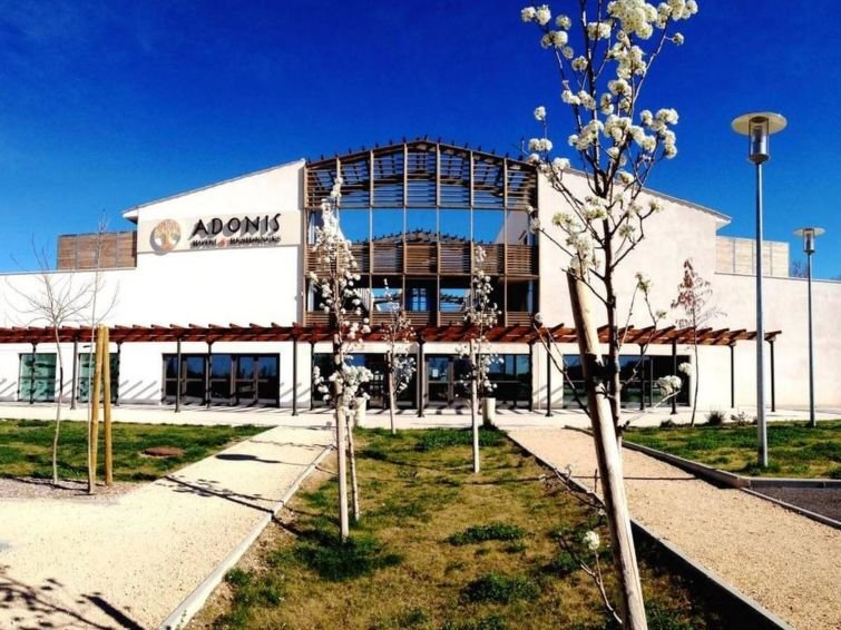 Adonis Aix En Provence