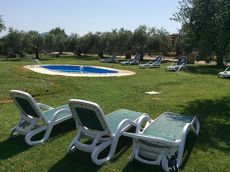 Appart. All'Interno Di Un Oliveto