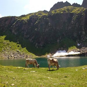 Casa Strecce - App. 2