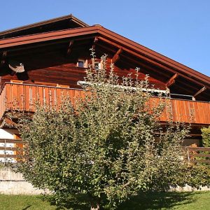 Chalet Ahornen