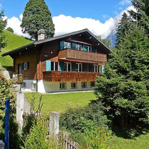 Chalet Bienli