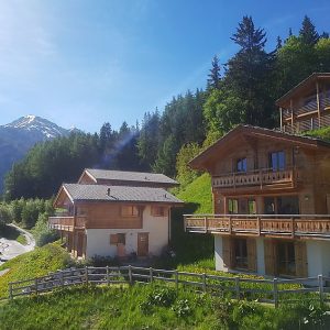 Chalet Petit-Sapin