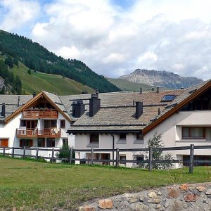 Chesa Foull `Alva C8