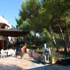 Cotriero Pineta Red House