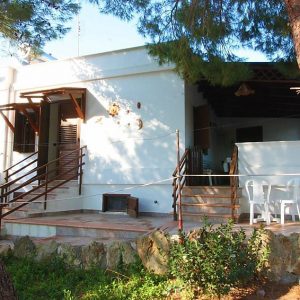 Cotriero Pineta White House