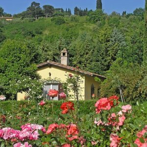 Fiorini