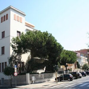 Il Pitosforo