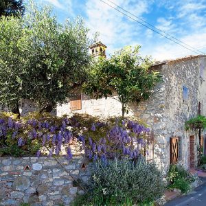 La Corte Di Brunella