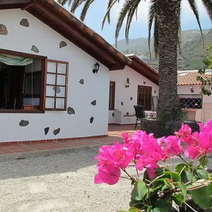 Landhaus Icod In Bananenplantage 1