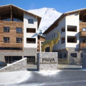 Privà Alpine Lodge Dlx2