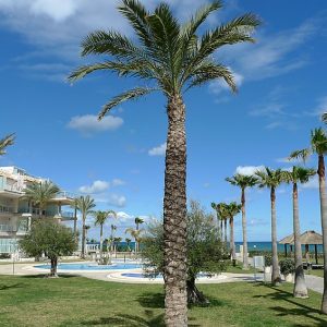 Residencial Mar De Denia