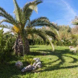 Studio Bleu Face A La Mer