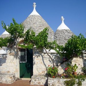 Trillo Trullo