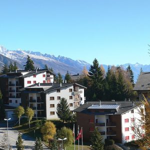 Violettes-Vacances A/B/C