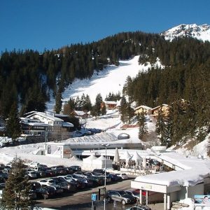 Violettes Vacances B