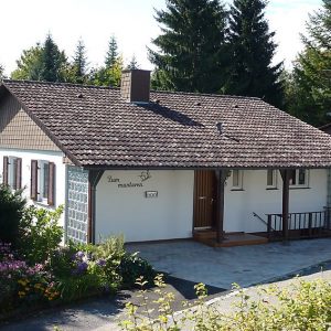 Zum Munteren Eichhörnchen